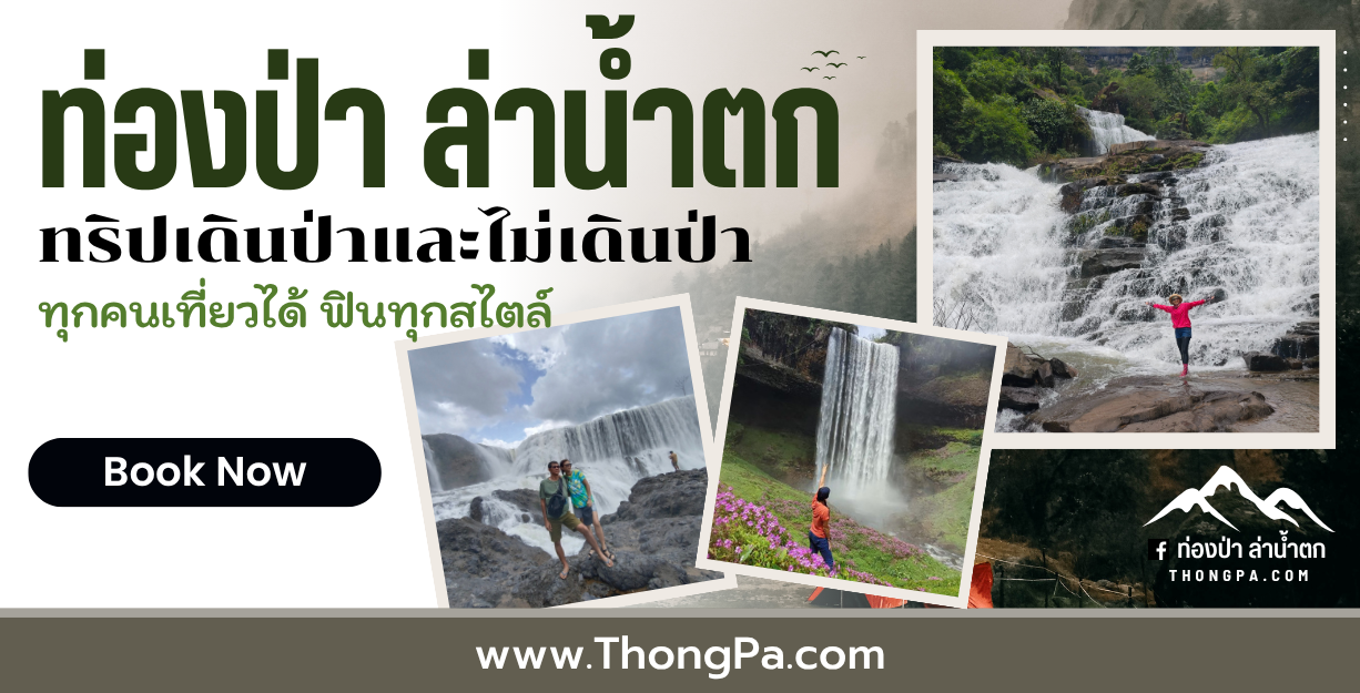 ท่องป่าล่าน้ำตก